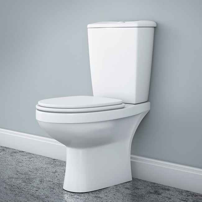 Avoid Toilet Issues With Professional Troubleshooting Tips