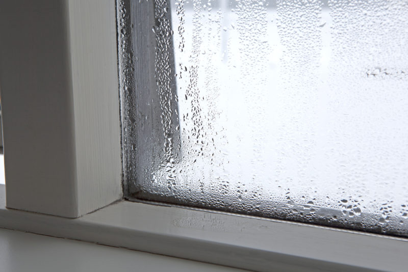 6 Tips to Avoid Moisture in the Home